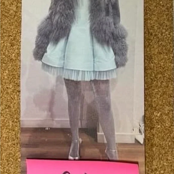 BRAND NEW WITH TAGS Charlotte Simone Carly Coat - Picture 7 of 11